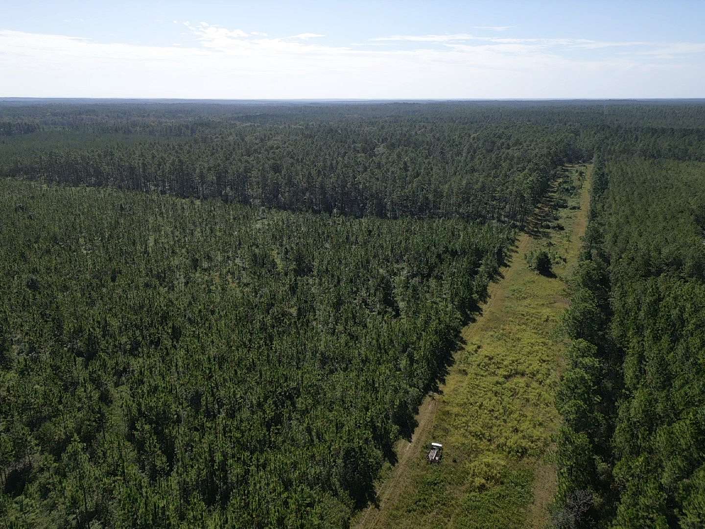 80 Acres of Recreational Land for Sale in Fruitdale, Alabama