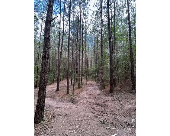 25.4 Acres of Land for Sale in Mendenhall, Mississippi