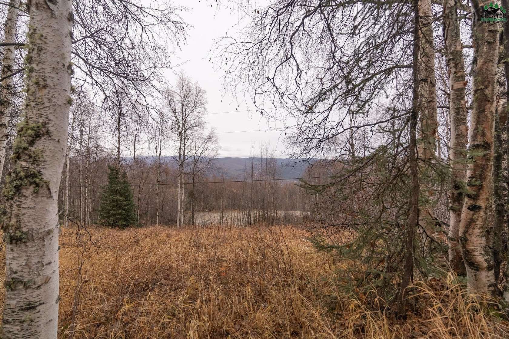 4.88 Acres of Residential Land for Sale in Fairbanks, Alaska