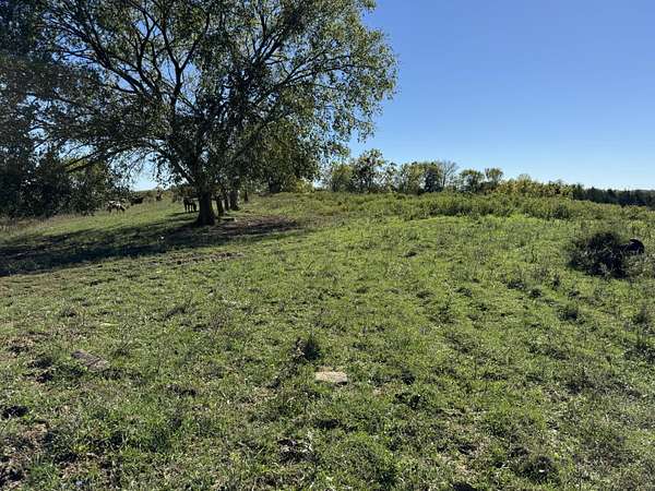 Residential Land for Sale in Sadieville, Kentucky