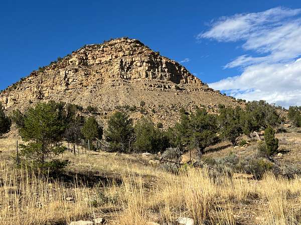 35.1 Acres of Recreational Land & Farm for Sale in Mancos, Colorado