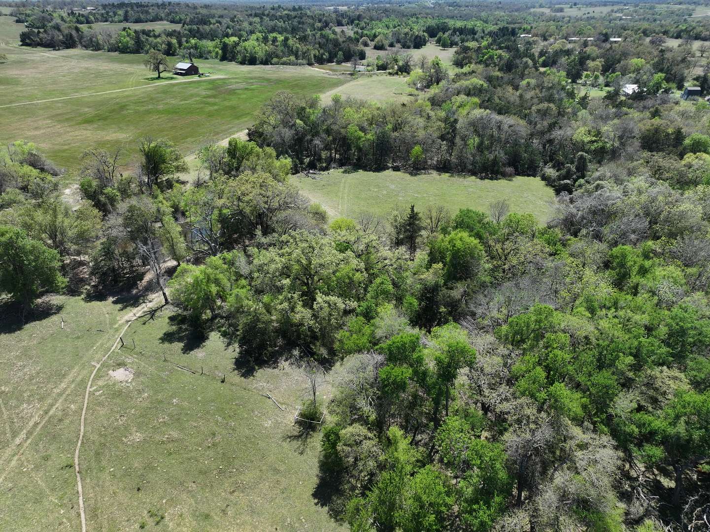20 Acres of Recreational Land & Farm for Sale in Cameron, Texas