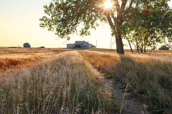 629 Acres of Land for Sale in Malta, Montana