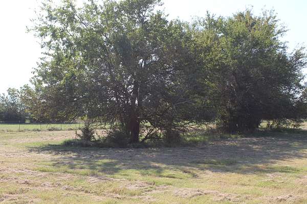 43 Acres of Land for Sale in Bokchito, Oklahoma