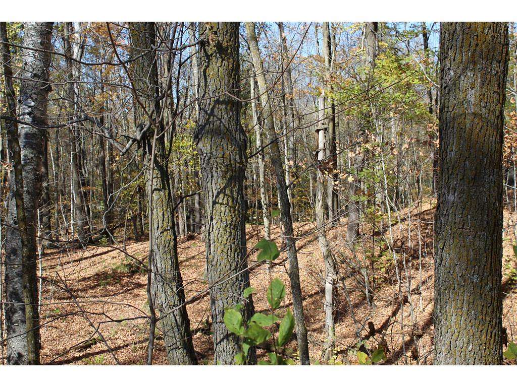 360 Acres of Land for Sale in Isle, Minnesota