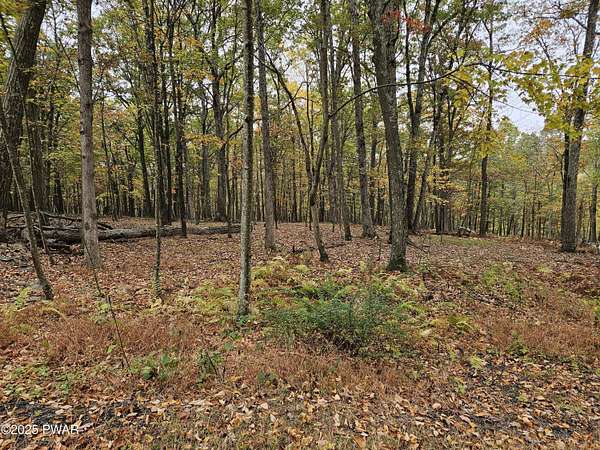 1.55 Acres of Residential Land for Sale in Bushkill, Pennsylvania