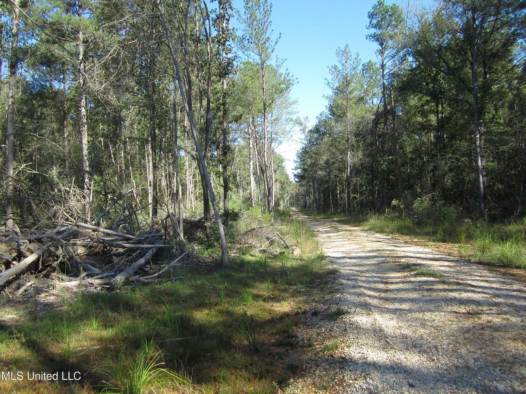 3 Acres of Land for Sale in Oak Vale, Mississippi
