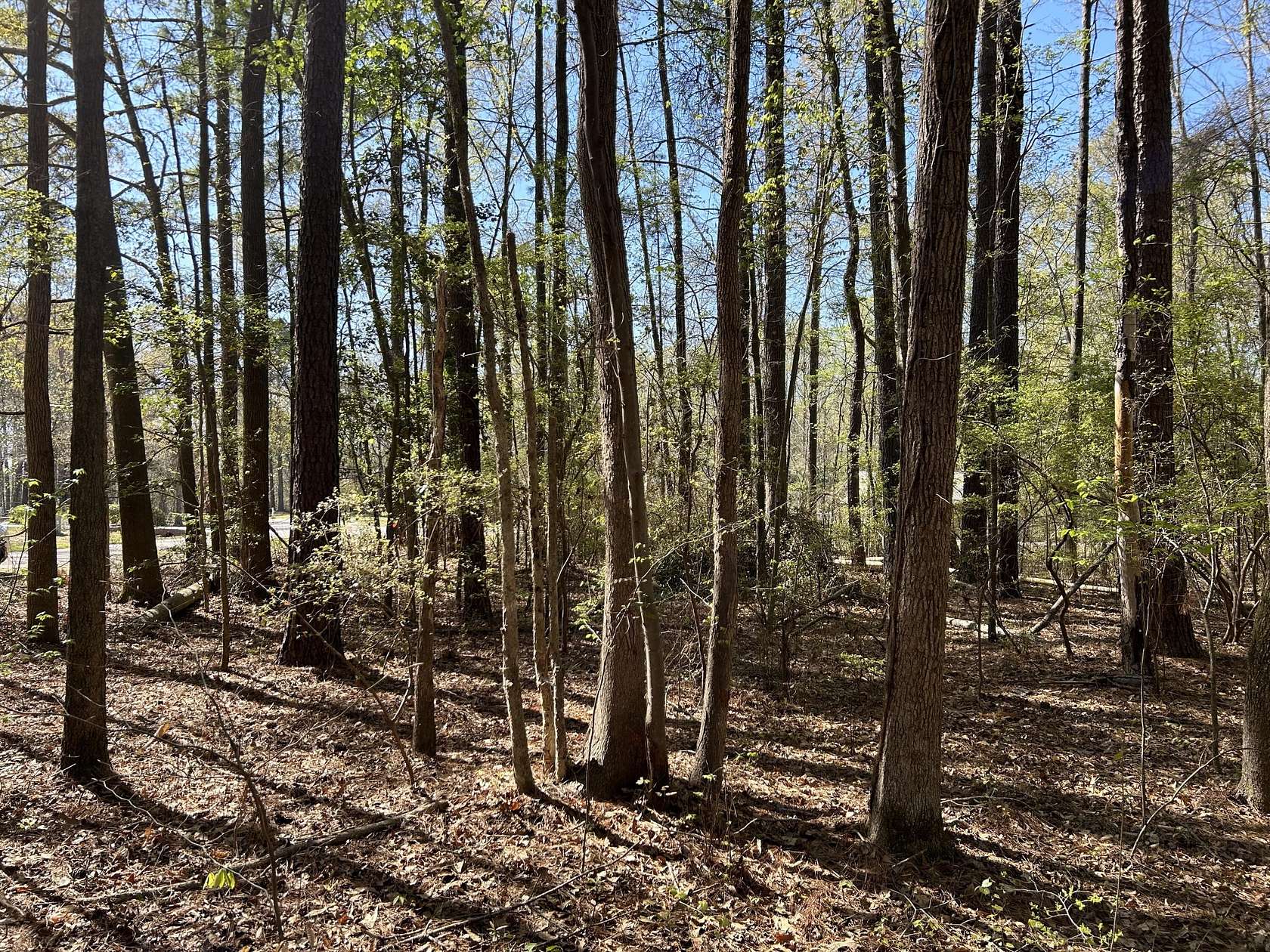 0.7 Acres of Residential Land for Sale in Cheraw, South Carolina