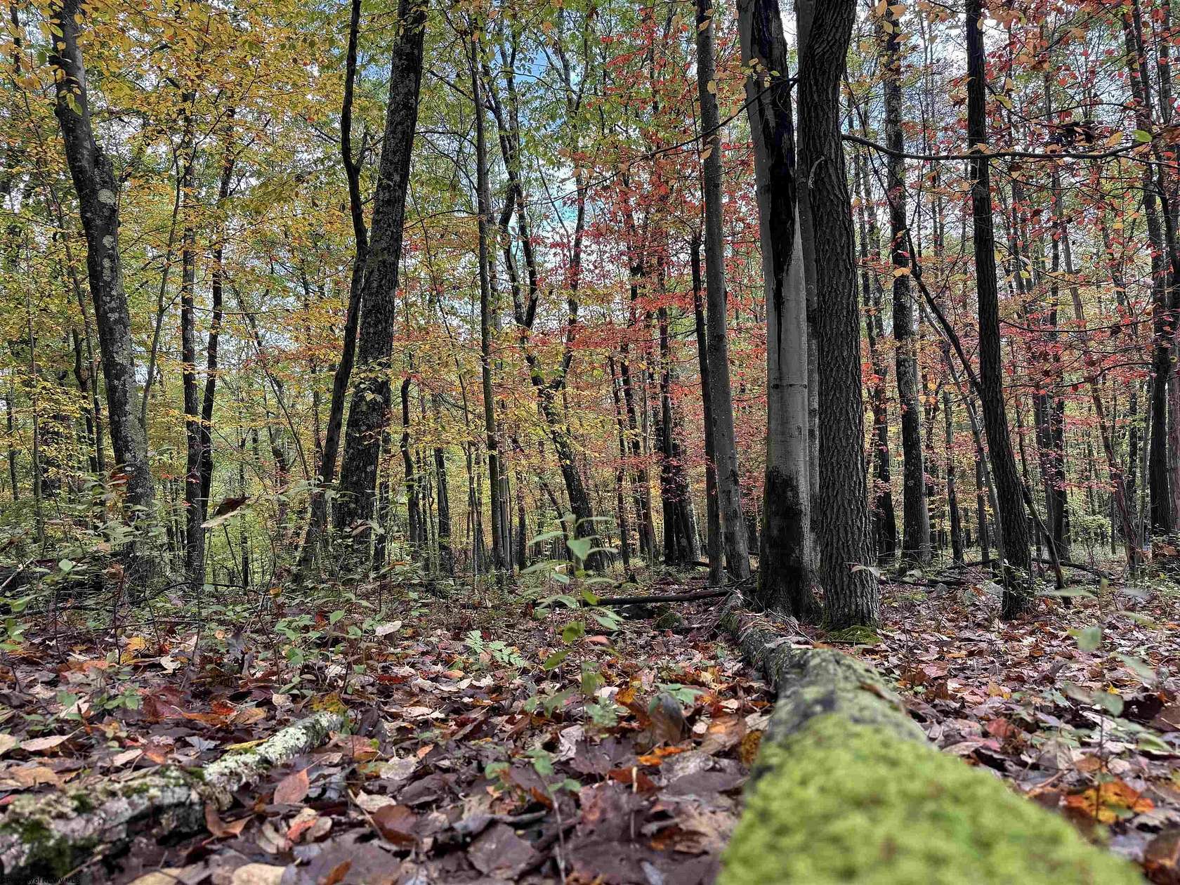 0.35 Acres of Residential Land for Sale in Terra Alta, West Virginia