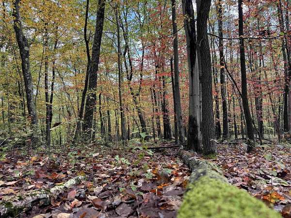 0.35 Acres of Residential Land for Sale in Terra Alta, West Virginia