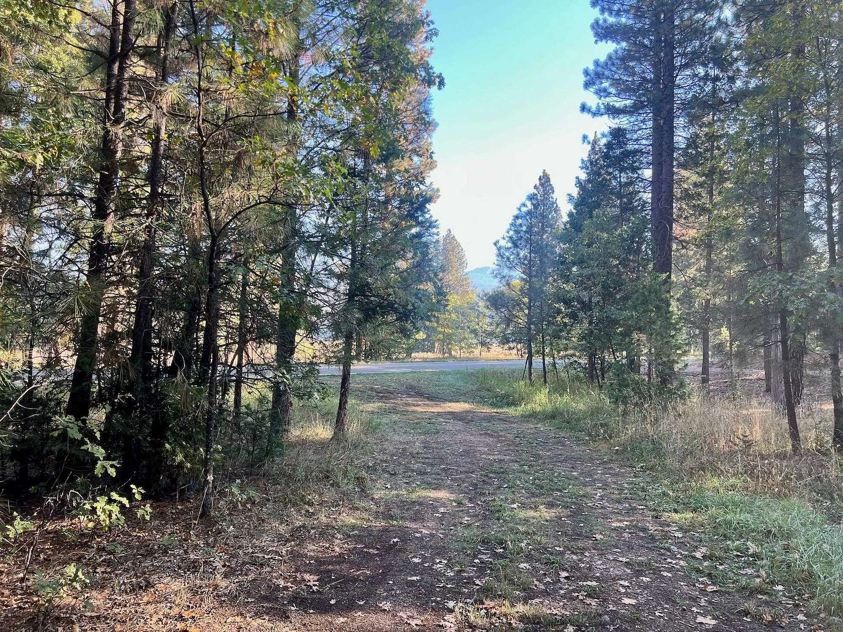 15 Acres of Land for Sale in Quincy, California