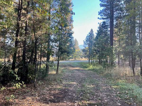 15 Acres of Land for Sale in Quincy, California