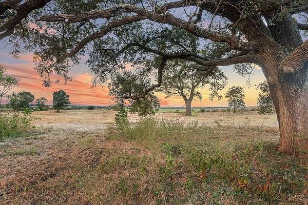 14 Acres of Land for Sale in Sealy, Texas