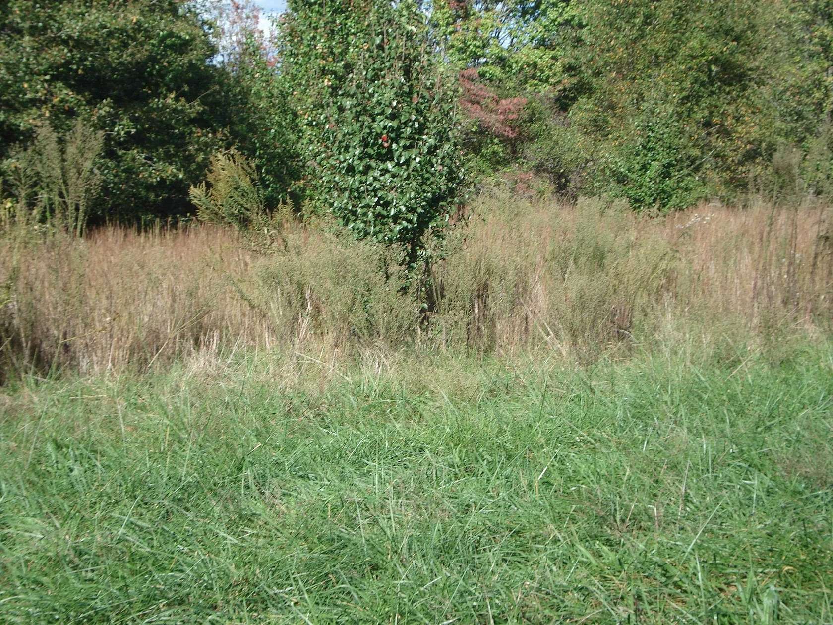 12.1 Acres of Land for Sale in Moore, South Carolina