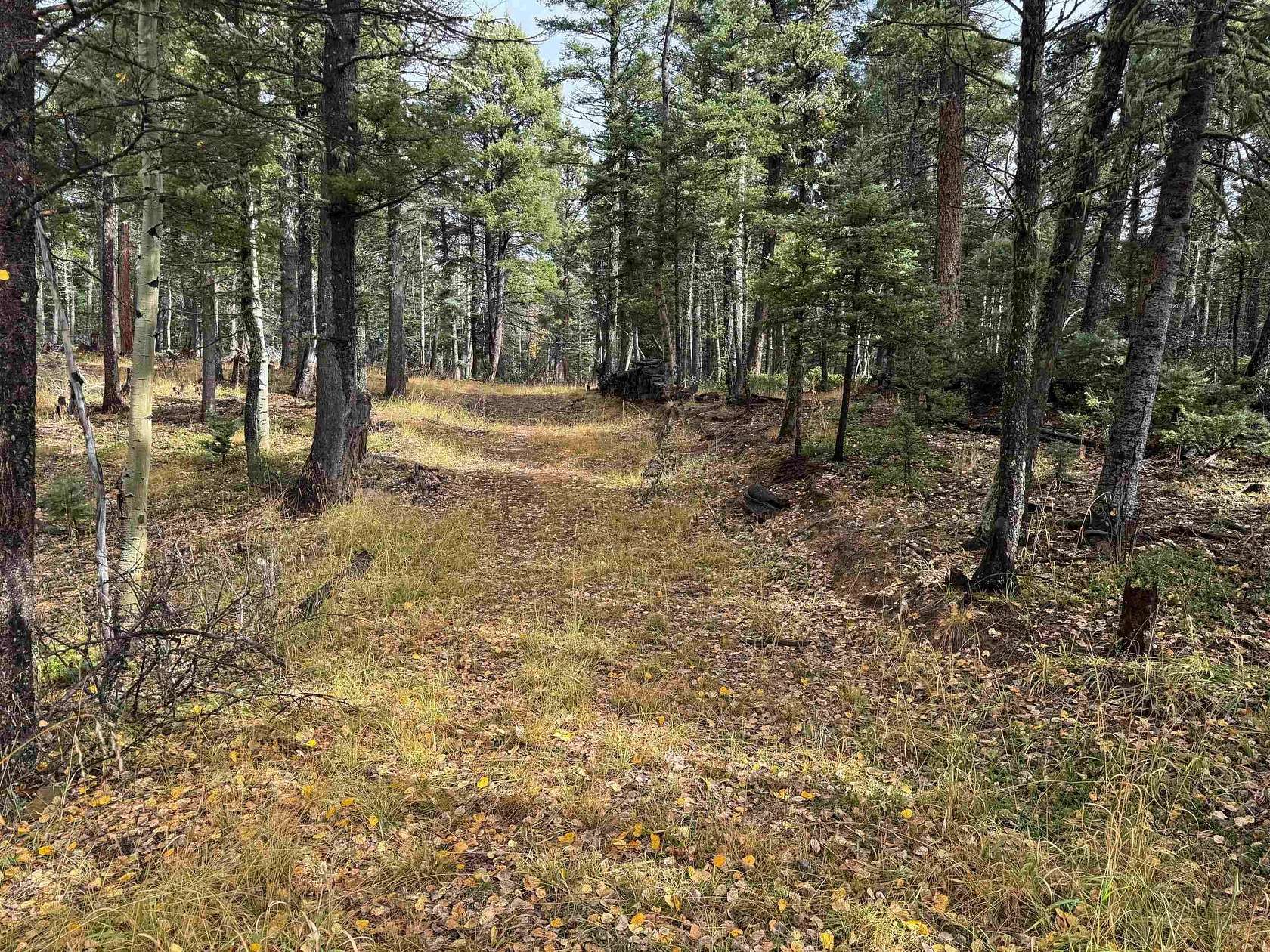 0.75 Acres of Residential Land for Sale in Angel Fire, New Mexico