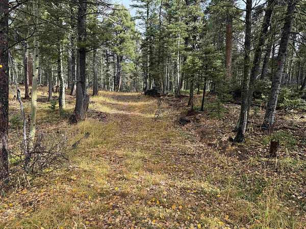 0.75 Acres of Residential Land for Sale in Angel Fire, New Mexico