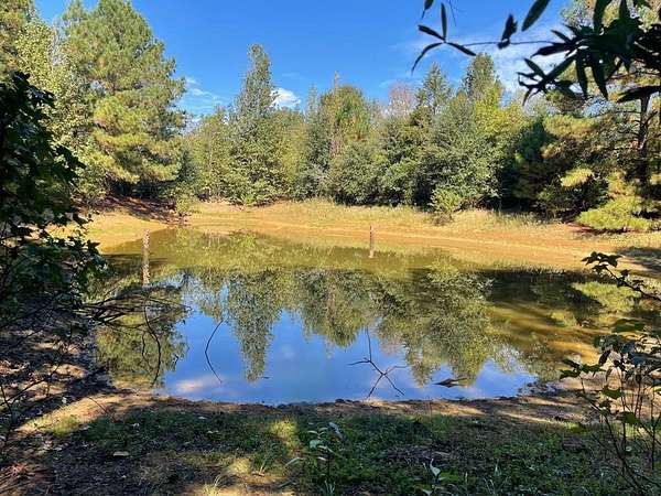 3 Acres of Residential Land for Sale in Linden, Texas