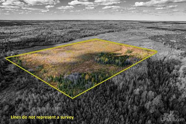 40 Acres of Recreational Land for Sale in Cornell, Michigan