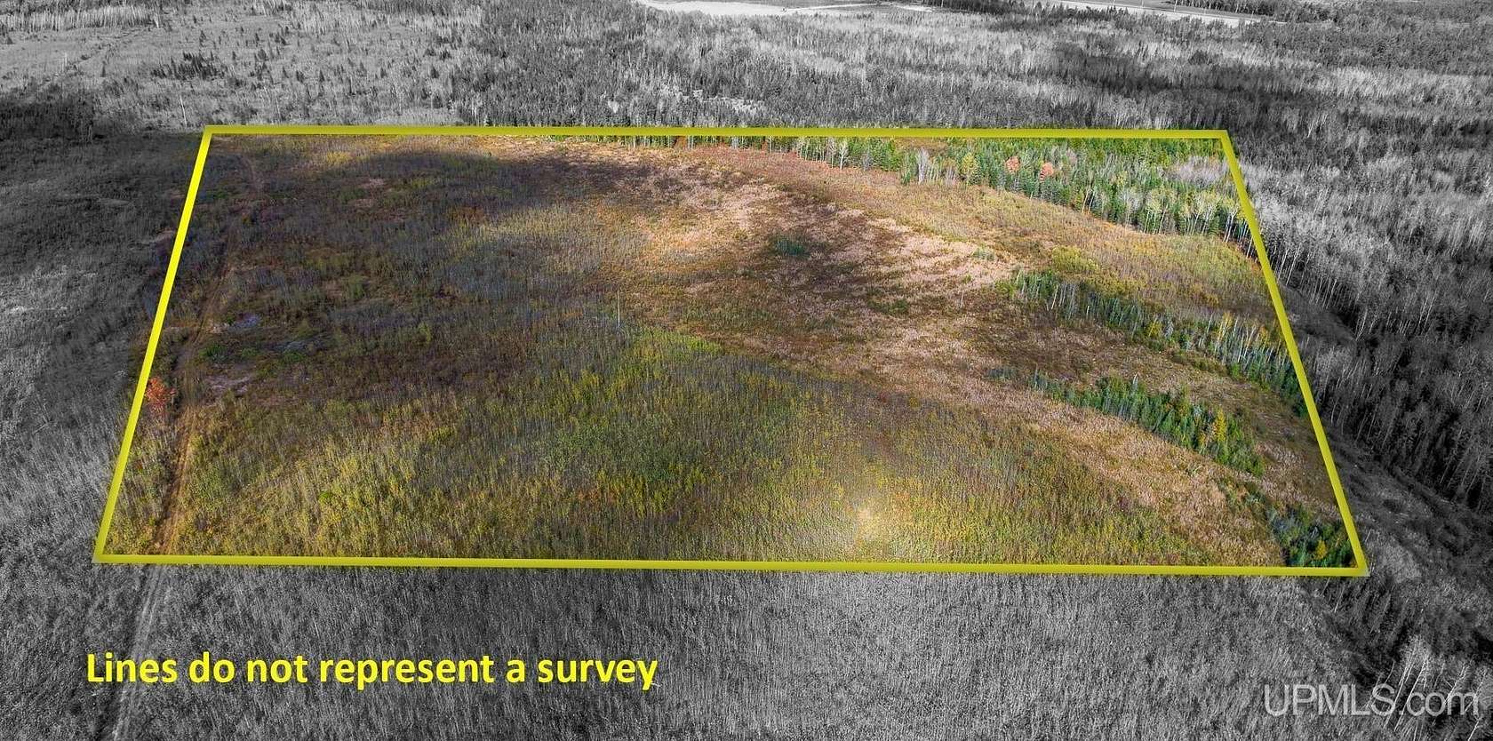 40 Acres of Recreational Land for Sale in Cornell, Michigan