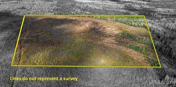 40 Acres of Recreational Land for Sale in Cornell, Michigan