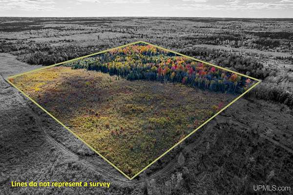 40 Acres of Recreational Land for Sale in Cornell, Michigan