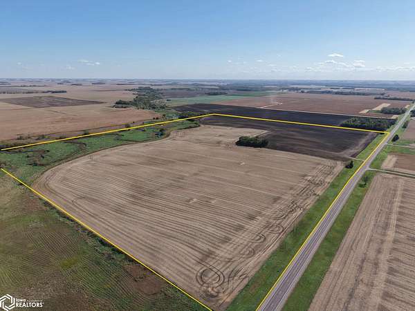 131 Acres of Recreational Land & Farm for Auction in Morton, Minnesota