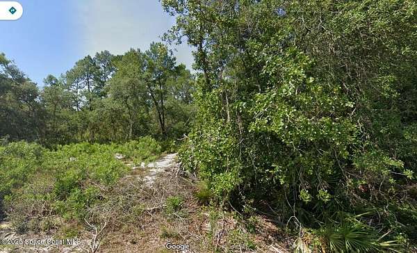 0.24 Acres of Residential Land for Sale in Silver Springs, Florida