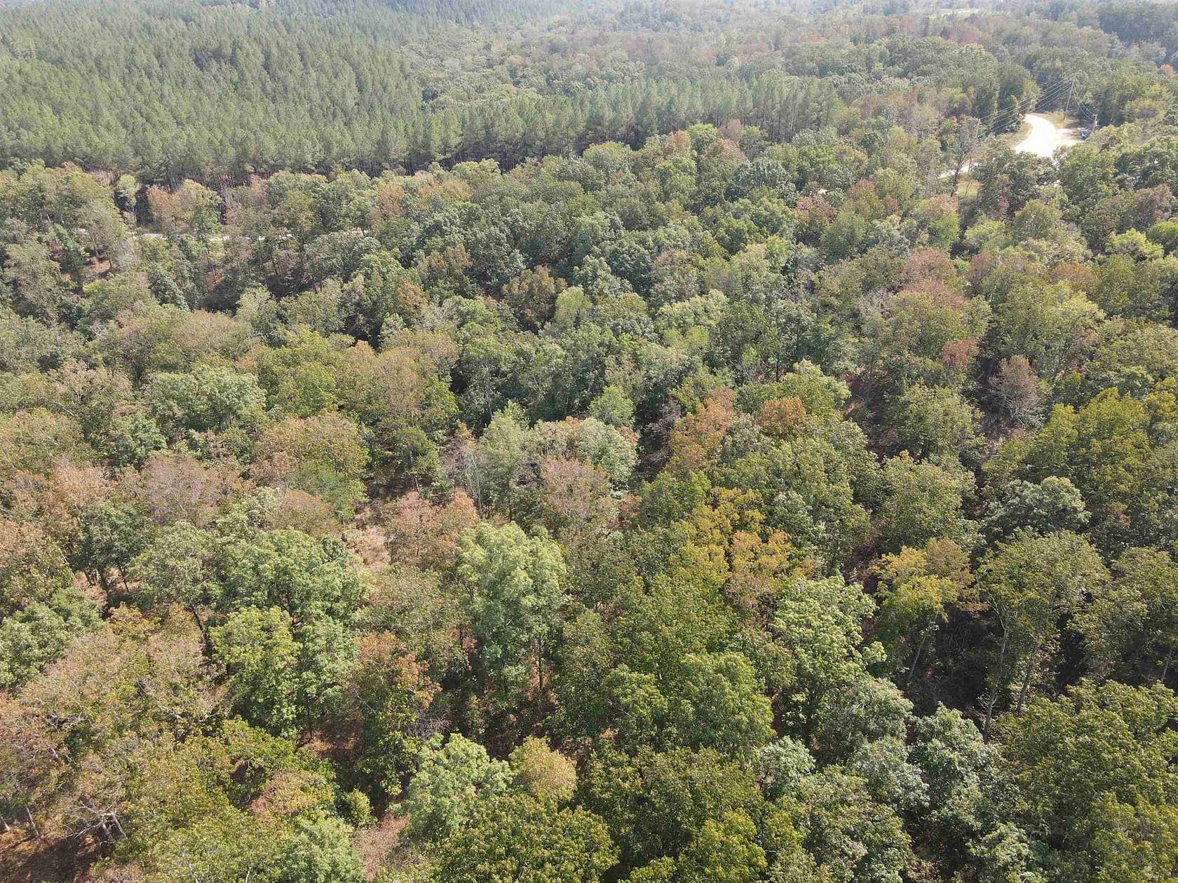 41 Acres of Recreational Land for Sale in Waverly, Tennessee