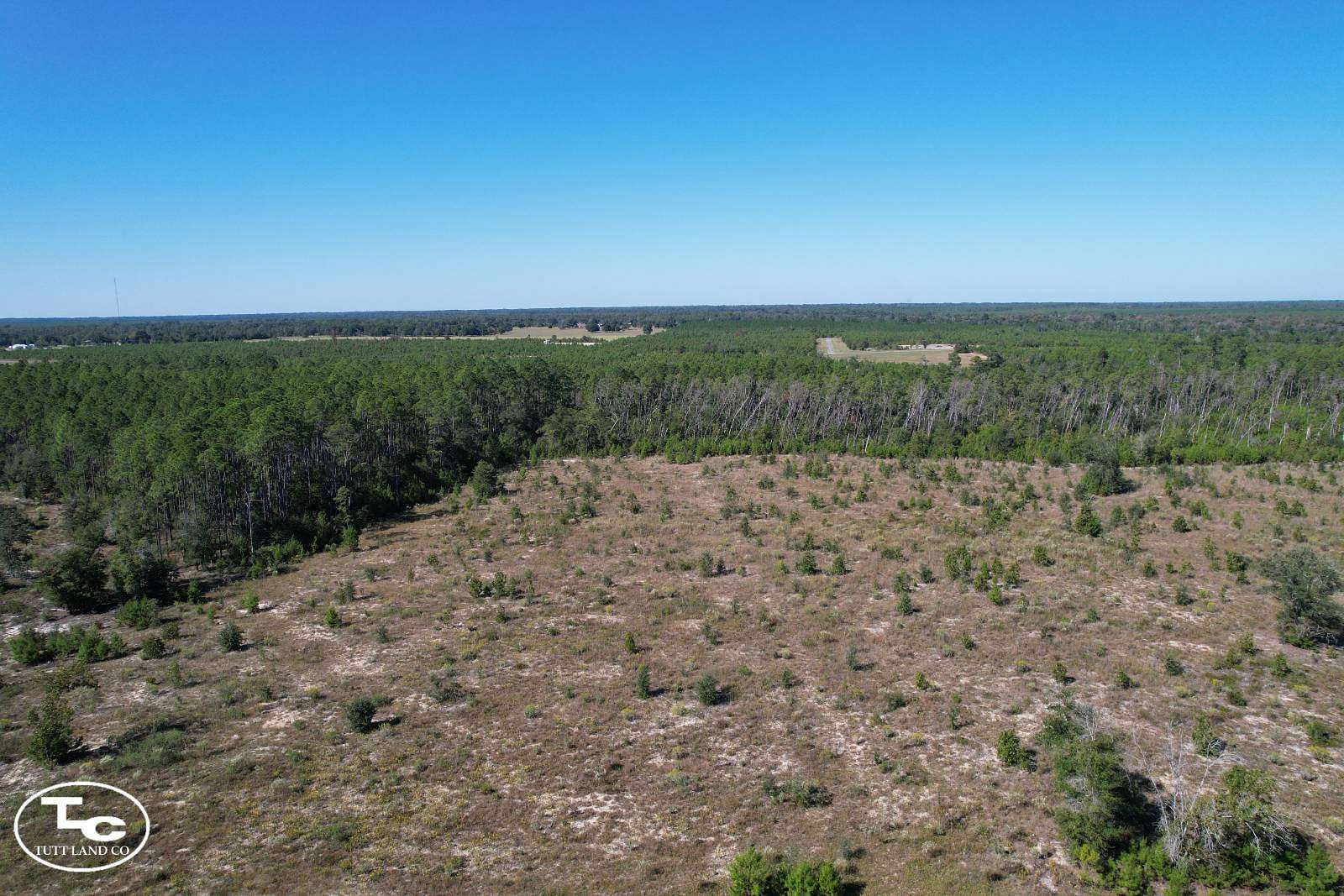 10.3 Acres of Land for Sale in Hosford, Florida