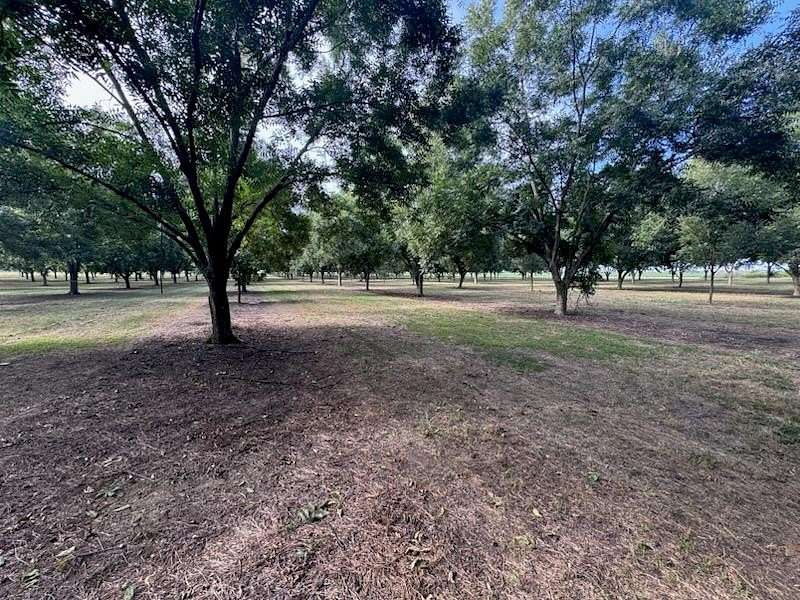 22.5 Acres of Land for Sale in Bainbridge, Georgia