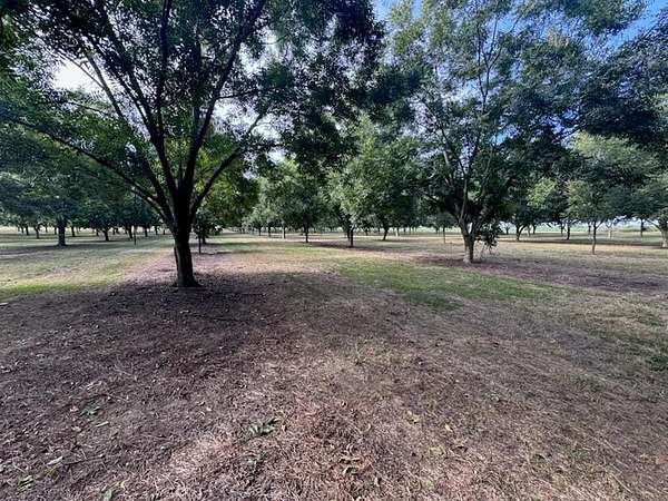 22.5 Acres of Land for Sale in Bainbridge, Georgia