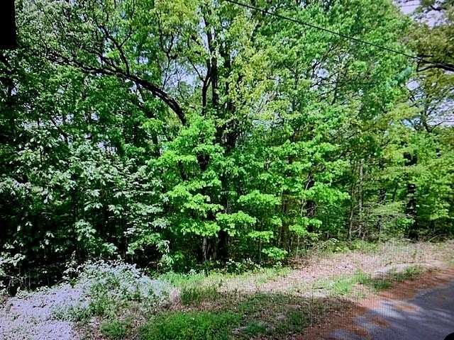 0.26 Acres of Residential Land for Sale in Bella Vista, Arkansas