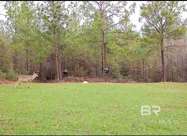 5 Acres of Residential Land for Sale in Perdido, Alabama