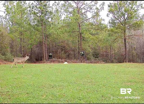 5 Acres of Land for Sale in Perdido, Alabama