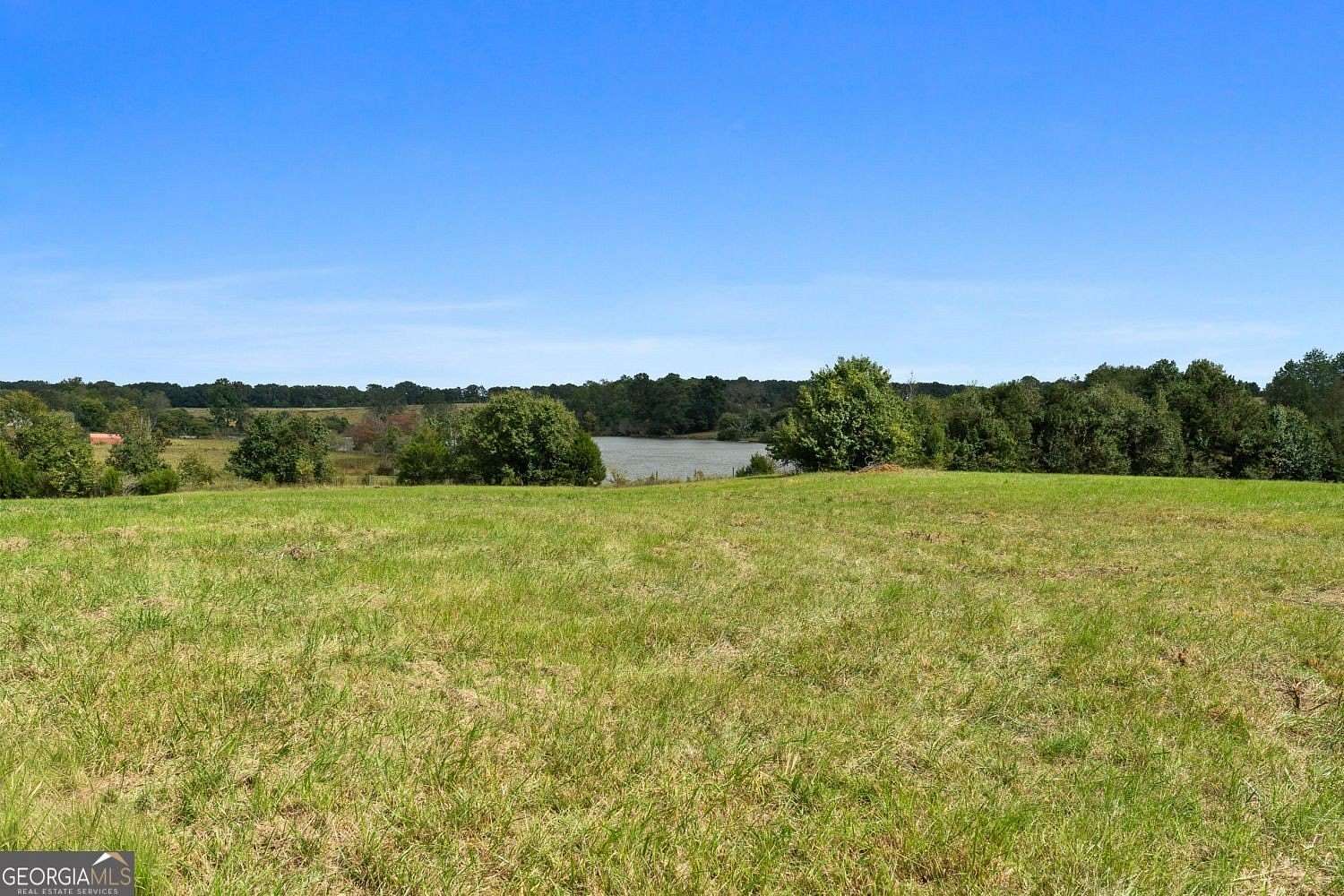 61 Acres of Land for Sale in The Rock, Georgia