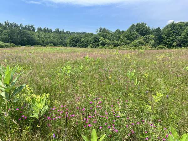 2.7 Acres of Land for Sale in Bethel, Maine