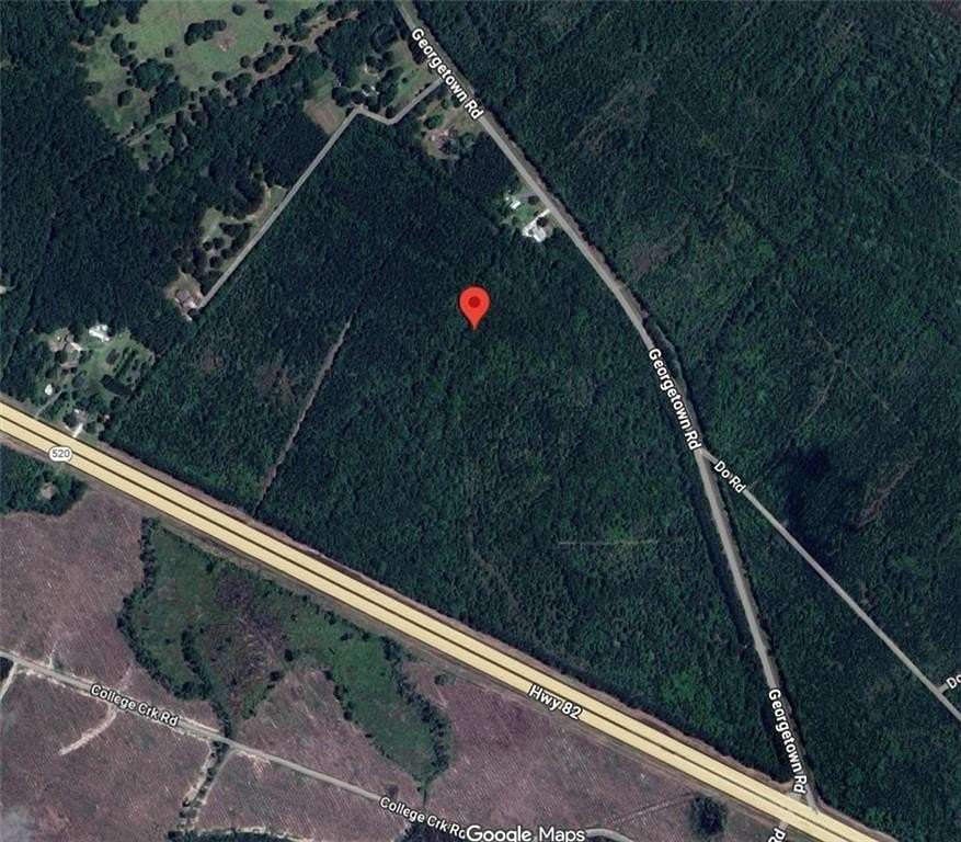 49.2 Acres of Commercial Land for Sale in Brunswick, Georgia