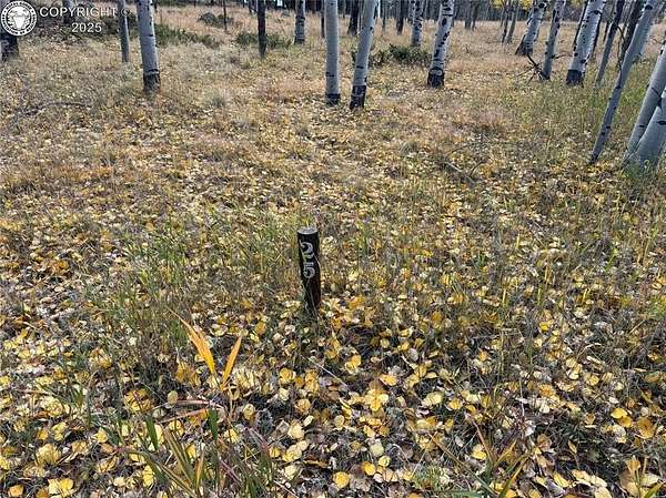 1 Acre of Land for Sale in Guffey, Colorado