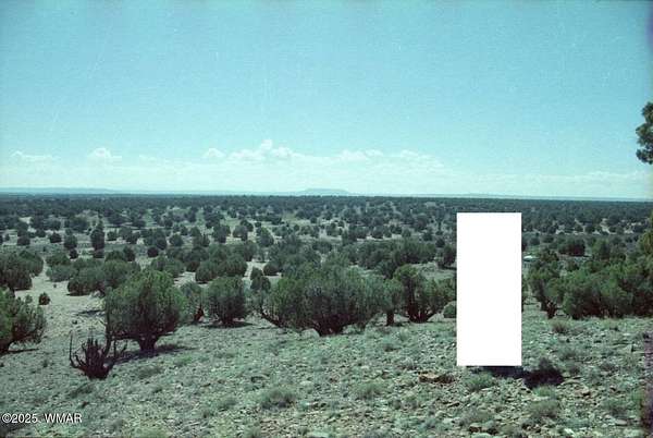 4 Acres of Residential Land for Sale in Concho, Arizona