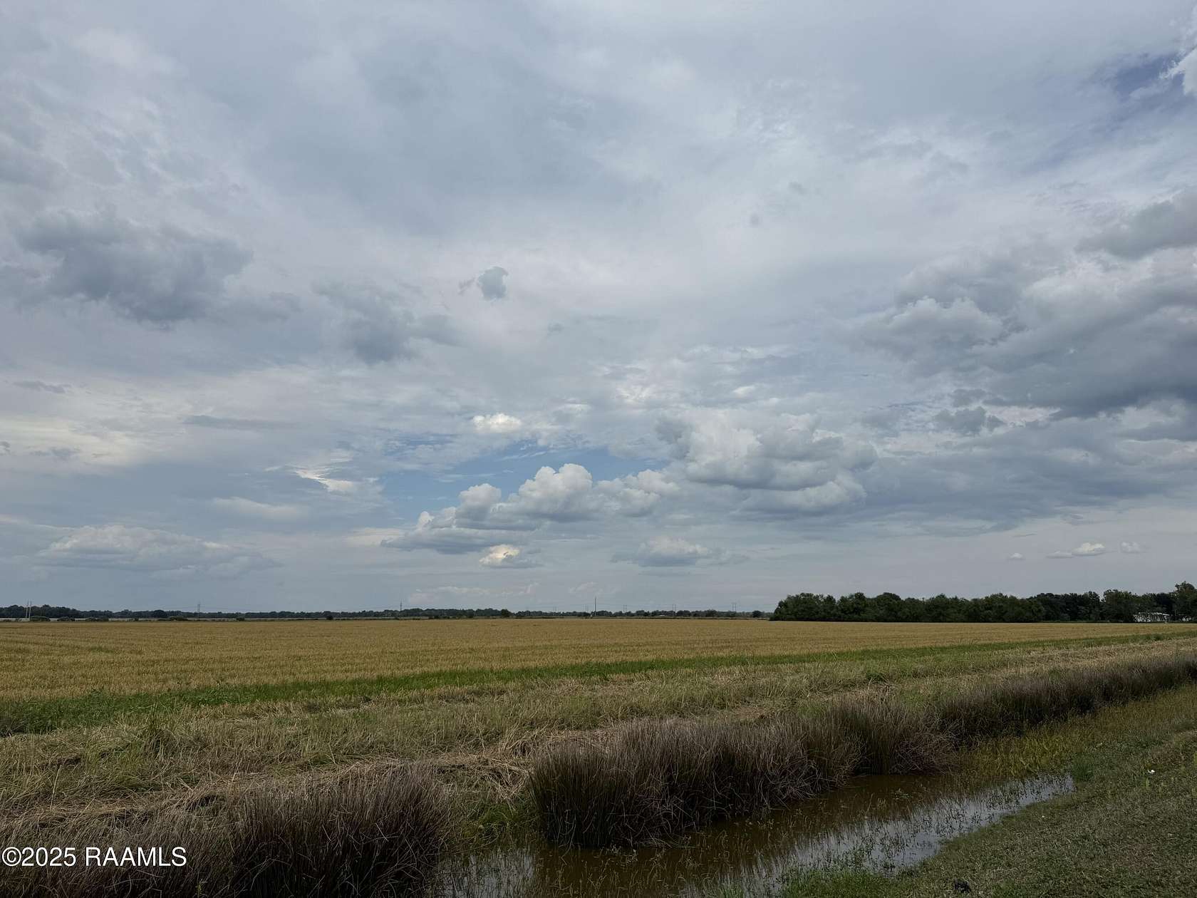 17 Acres of Land for Sale in Branch, Louisiana