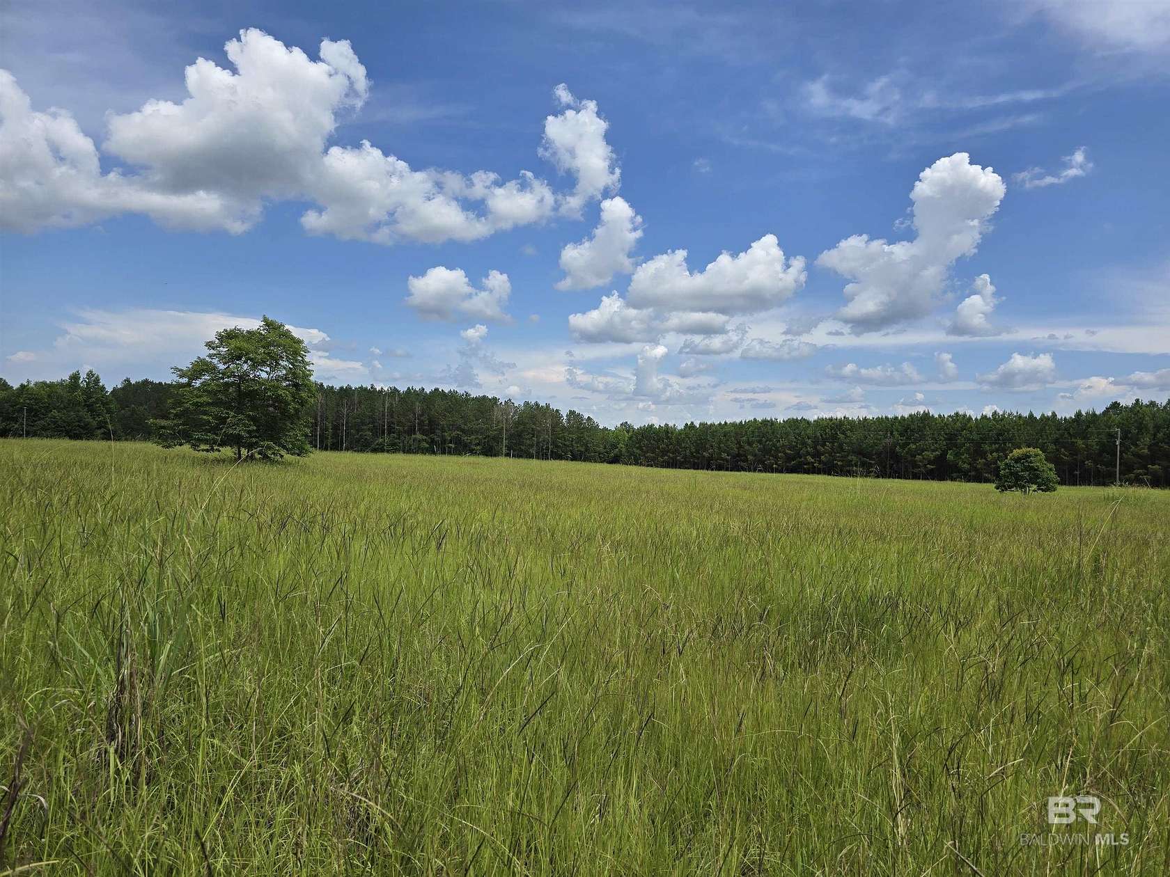 31.4 Acres of Recreational Land for Sale in Repton, Alabama
