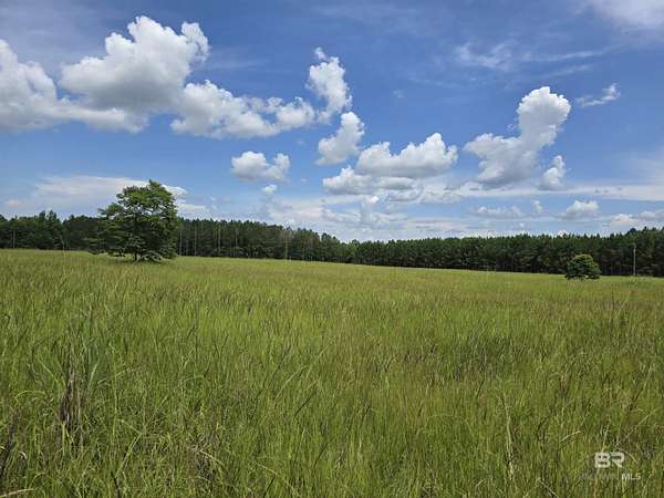 31.4 Acres of Recreational Land for Sale in Repton, Alabama
