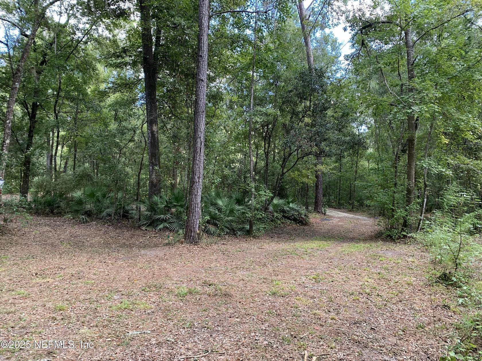 1 Acre of Land for Sale in Florahome, Florida