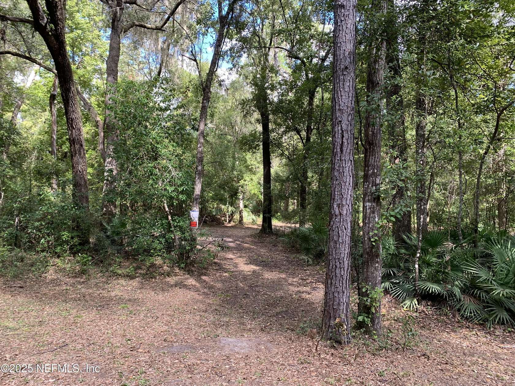 1 Acre of Land for Sale in Florahome, Florida