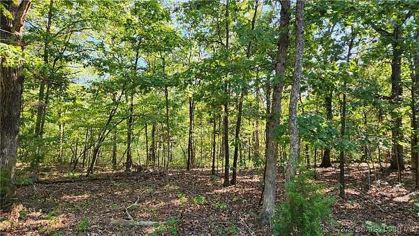 0.25 Acres of Residential Land for Sale in Village of Four Seasons, Missouri