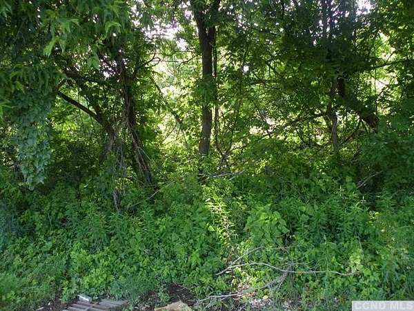 0.43 Acres of Commercial Land for Sale in Catskill, New York
