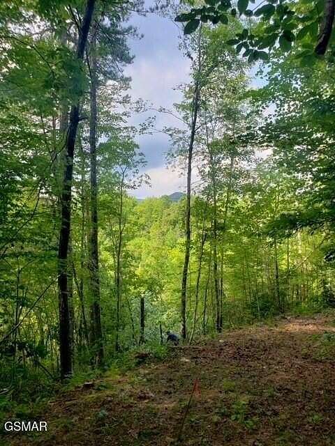 1.54 Acres of Residential Land for Sale in Sevierville, Tennessee