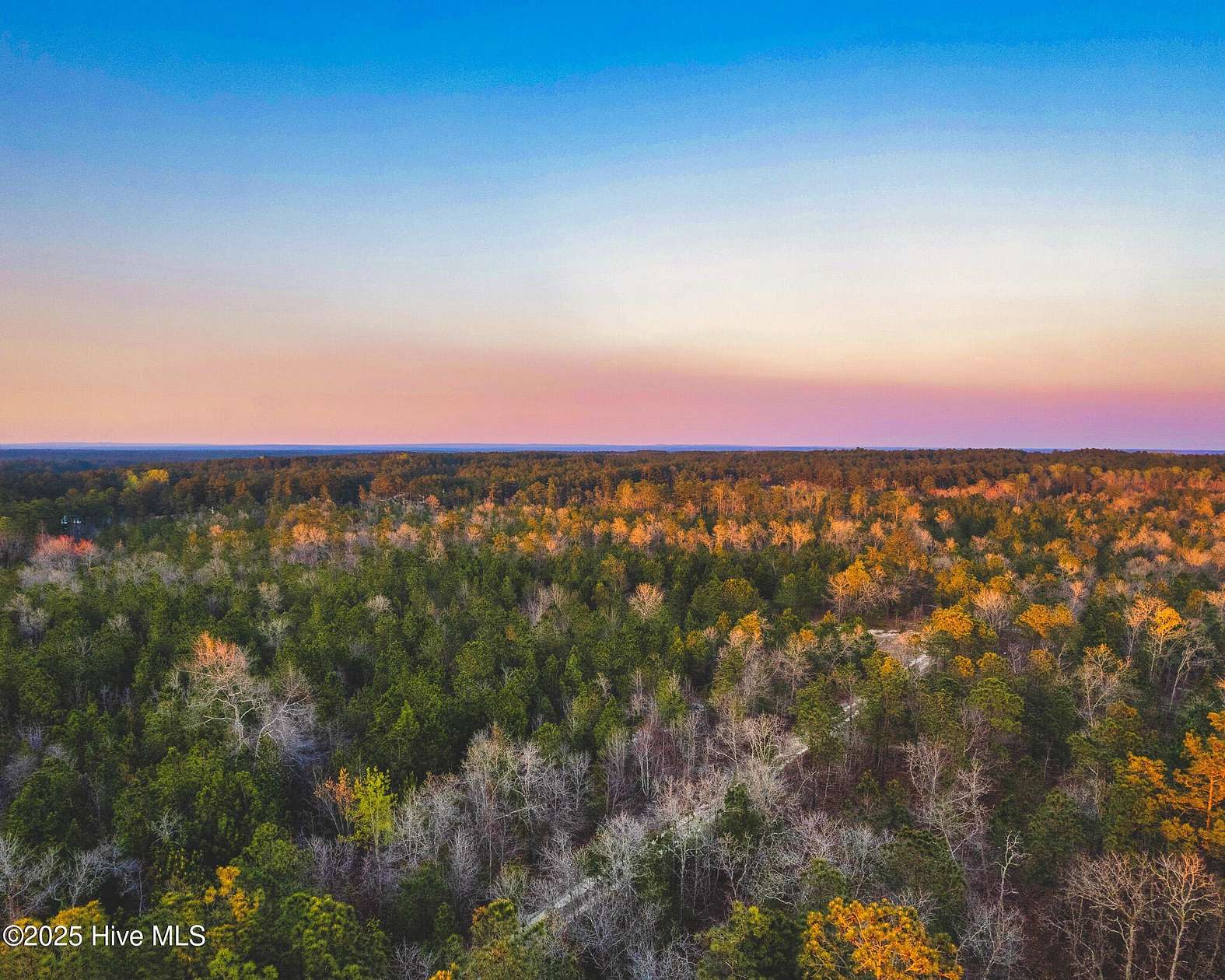 54.5 Acres of Land for Sale in Wagram, North Carolina