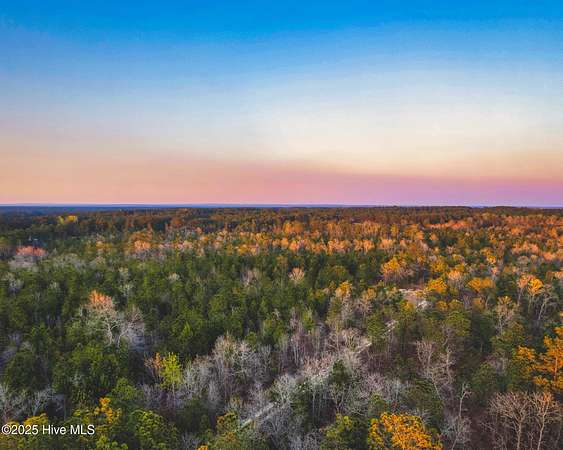 54.5 Acres of Land for Sale in Wagram, North Carolina