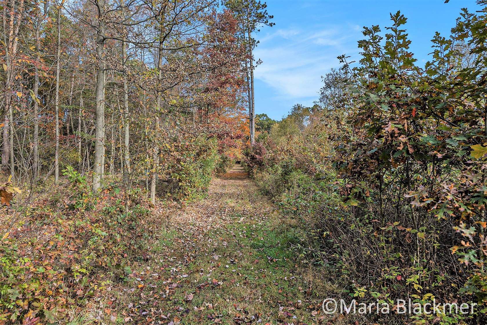 6.9 Acres of Land for Sale in Ionia, Michigan